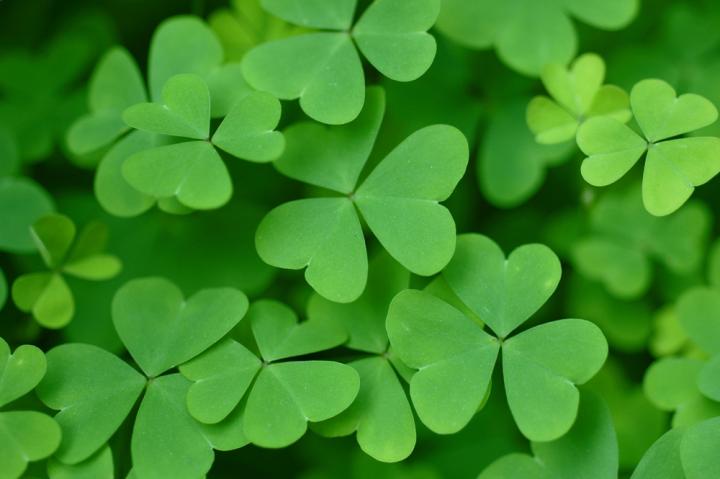 Fun Facts About St. Patrick's Day - COTUIT LIBRARY THE HEART OF THE VILLAGE
